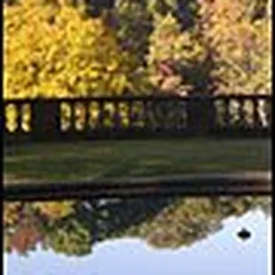 View from the back Terrace