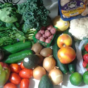 A bounty from earlier this year. I probably paid around $20