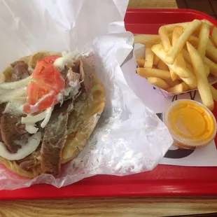 Gyro with fries