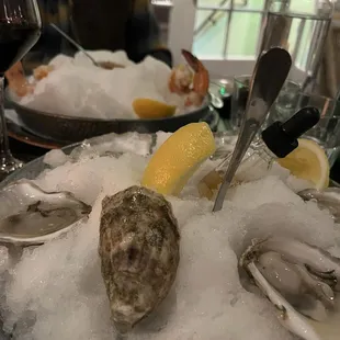 Oysters & shrimp cocktail