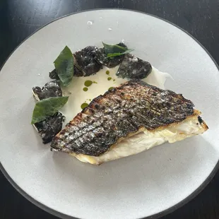 Striped Bass.
