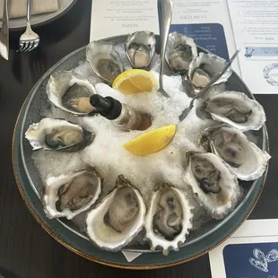 Oysters. 6 of each - yum!