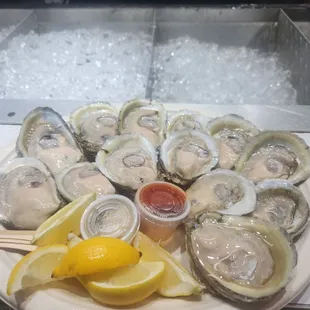 Fresh oysters