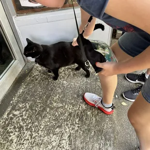 Xing Xing lives here!  His food and water are inside.