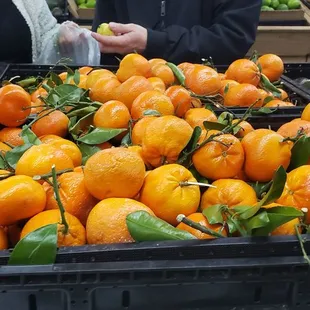 oranges and avocados