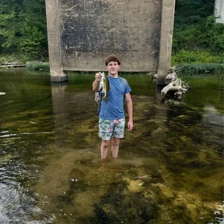 Logan H.