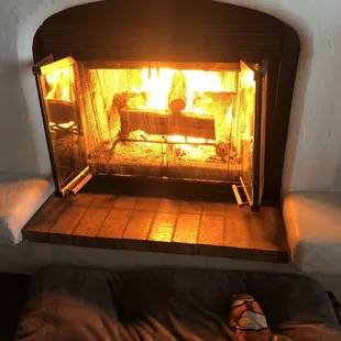 Great firewood!  Thank you for the fast delivery and stacking. Stay warm