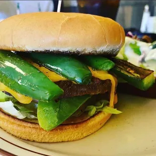 a cheeseburger on a plate