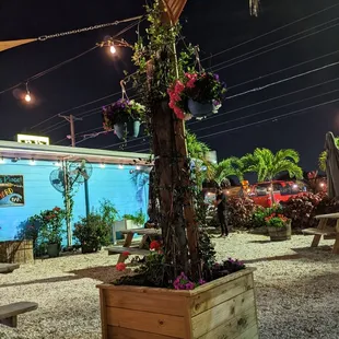 a tree with flowers in a planter
