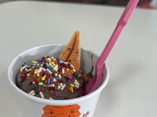 Baskin Robbins