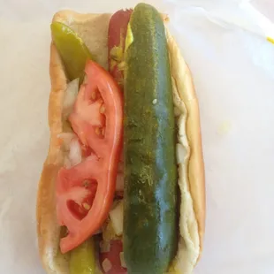 Chicago Dog