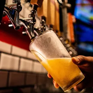 a person holding a glass of beer