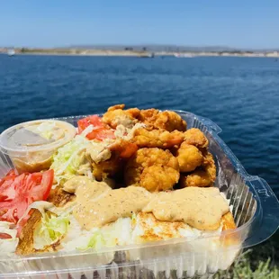 Shrimp Poboy Sandwich (picnic at Mission Bay)