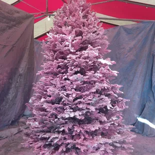 Pink Holiday Tree