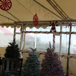 Beautiful flocked trees. And great selection of  silver tips and nobles