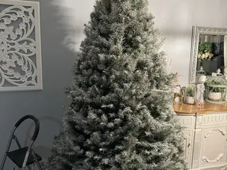 Santa’s Winter Forest