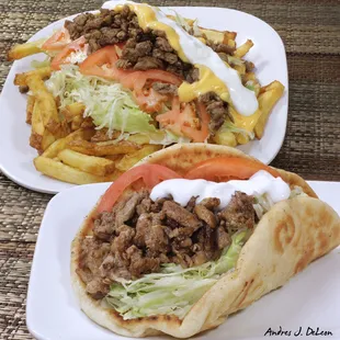 Steak Fries and a Super Taco on Pita