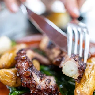 Octopus Roasted in Olive Oil ($16)