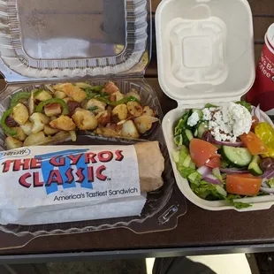 Gyro plate