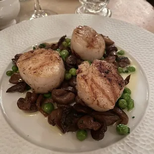 Scallops