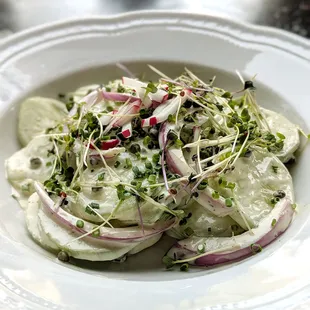 Cucumber Salad