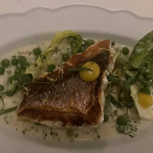 Red Snapper En Croute