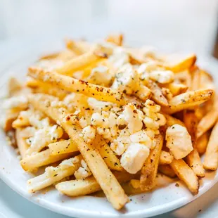 Petra Fries