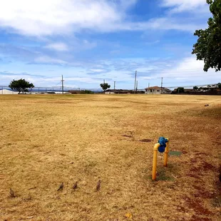 The open field........looks like no one has been watering the field, as the grass is all dead! Aiyah!