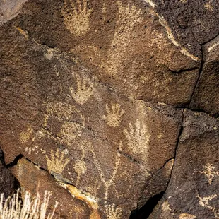 Petroglyph National Monument