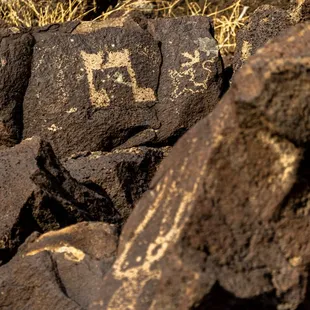 Petroglyph National Monument