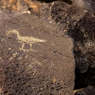 Petroglyph National Monument