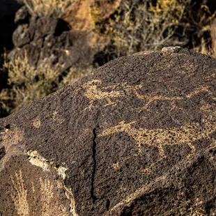 Petroglyph National Monument