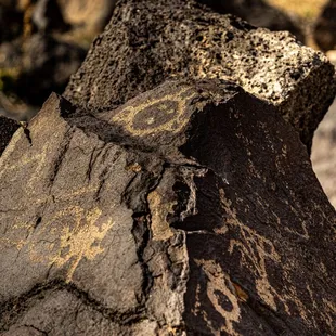 Petroglyph National Monument