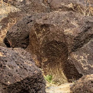 Petroglyph National Monument