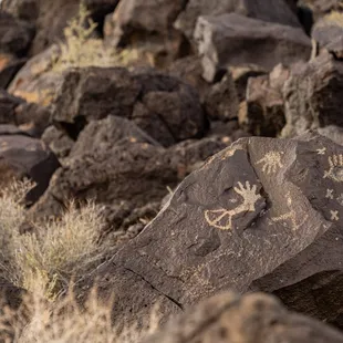 Petroglyph National Monument