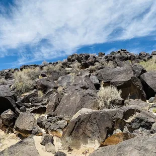 Can you spot all the petroglyphs?