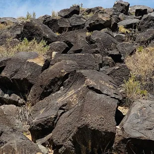 Piedras Marcadas Petroglyphs