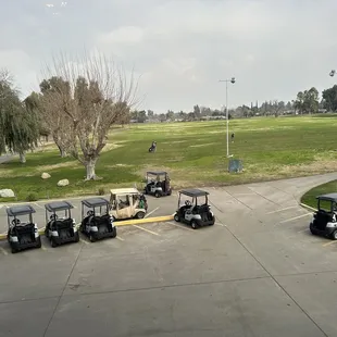 Golf carts