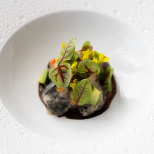 ESCARGOT À LA BARIGOULE -  AVOCADO, SORREL, BLACK GARLIC