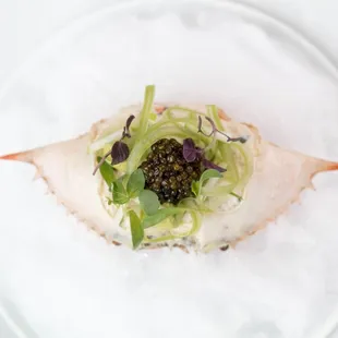 oysters and mussels, food