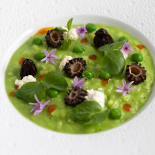 soups and chowder, food