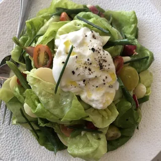 BIBB SALAD