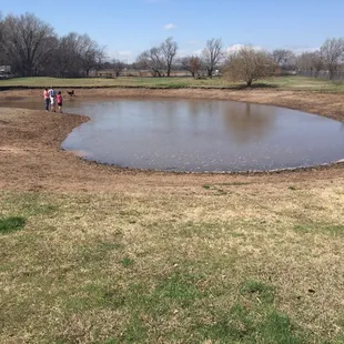 Pond at the Pets and People Dog Park in Yukon