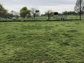Wiggly Field