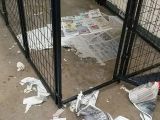 Second Chance Animal Sanctuary