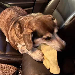 Vanilla flavored cow ear was a win.