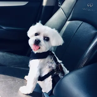 Harvey is looking so fresh &amp; so clean