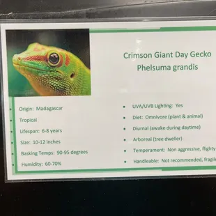 Guidance on the need for the pets, this is listed for all reptiles etc