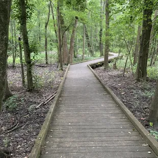Easy walk boardwalk