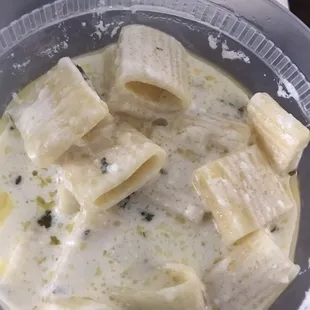 Rigatoni Alfredo